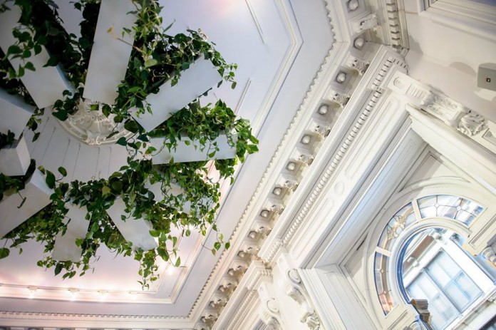 5-cafe-branches-montreal-une