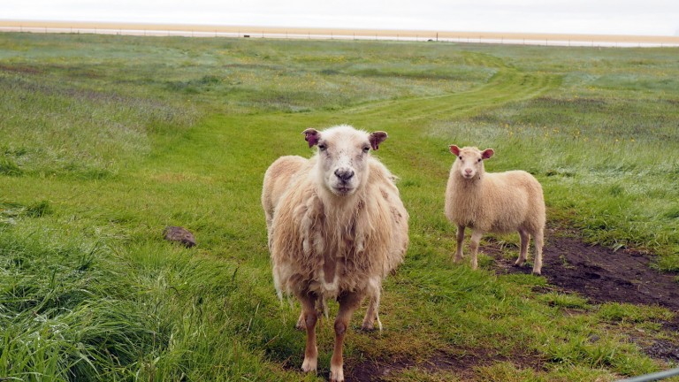 Westfjords