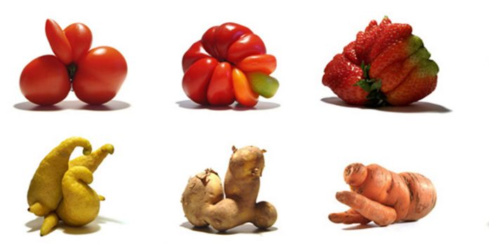 fruits-legumes-moches-quebec-epicerie