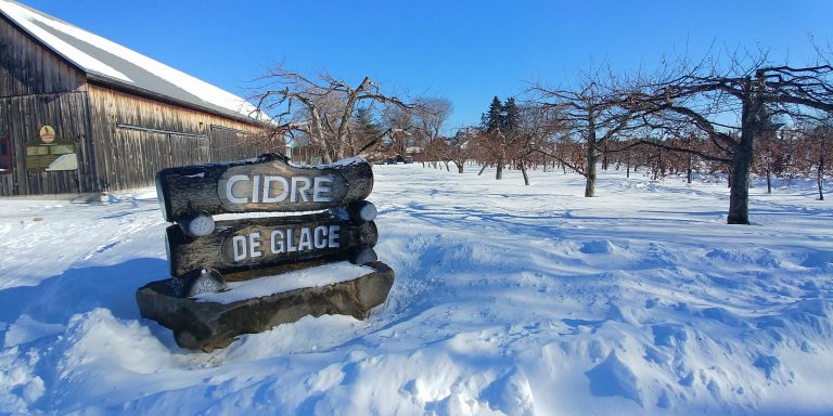 La « Classe Neige » du Domaine Neige, une sortie hivernale à faire en janvier