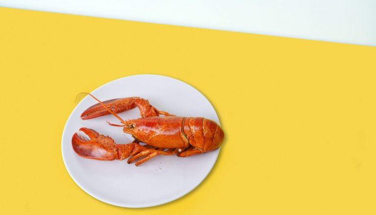Goûtez le Québec maritime : un festin de fruits de mer signé Le 47e Parallèle