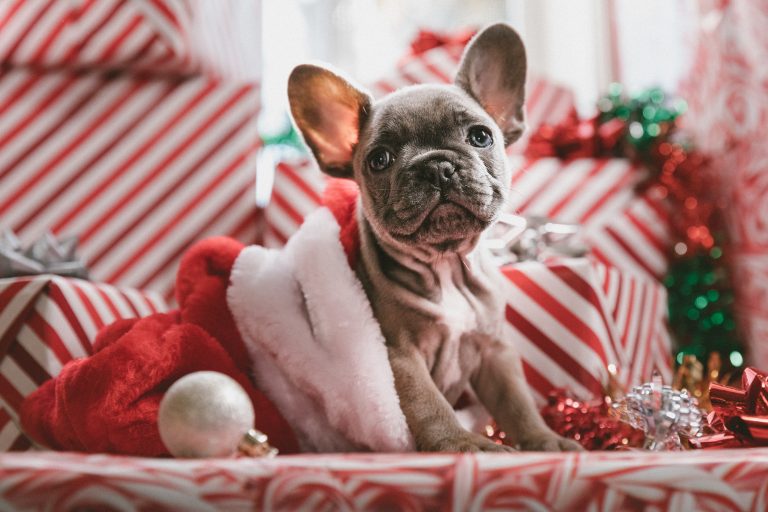 12 items (à moins de 40$) à glisser dans le Bas de Noël