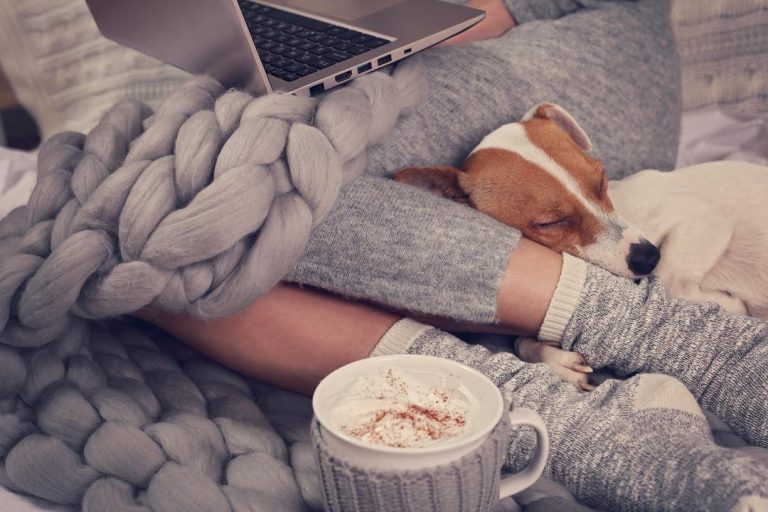 10 astuces pour rester au chaud à la maison cet hiver