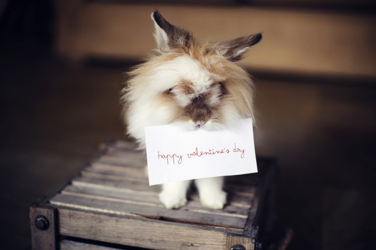 12 idées cadeaux au féminin pour la Saint-Valentin