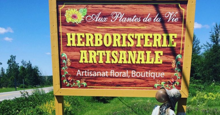 Aux Plantes de la Vie – L’herboristerie traditionnelle que tu dois absolument découvrir à Cap-Aux-Os