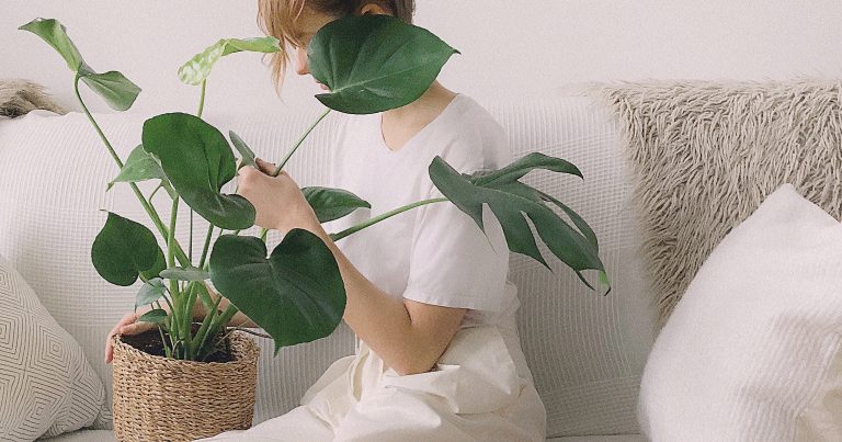 10 astuces pour avoir de belles plantes d’intérieur