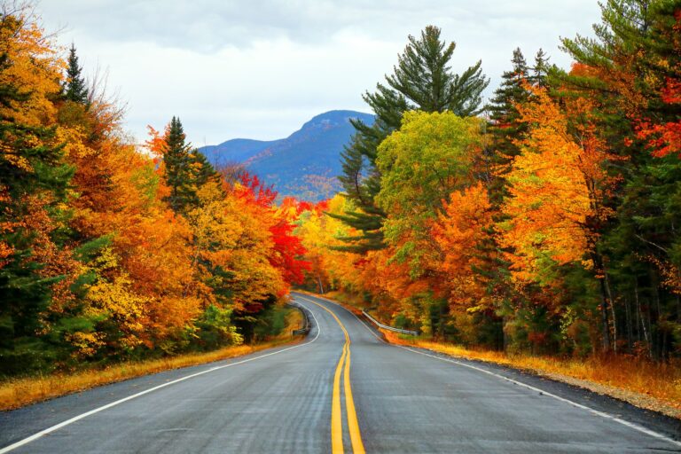 Road trip d&rsquo;automne – 5 bonnes adresses dans les Cantons-de-l&rsquo;Est